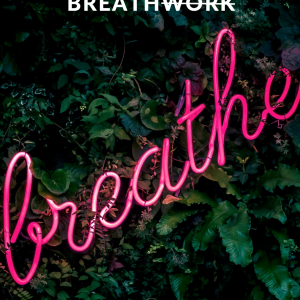 The Power of Breathwork. Transform Your Life, One Breath at a Time