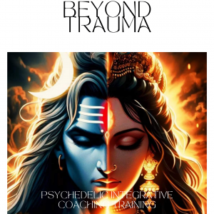 Beyond Trauma. Integrative Coaching Book