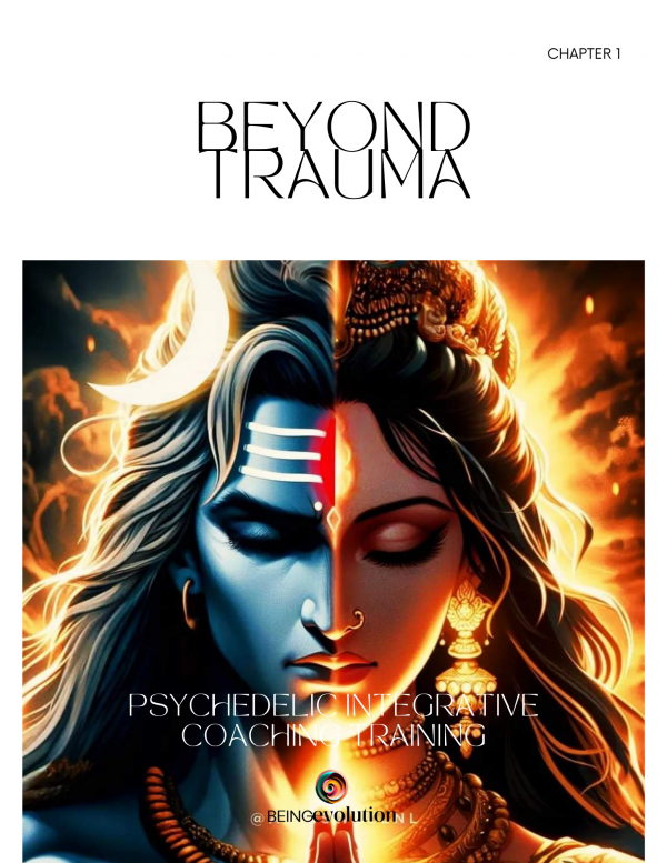Beyond Trauma. Integrative Coaching Book